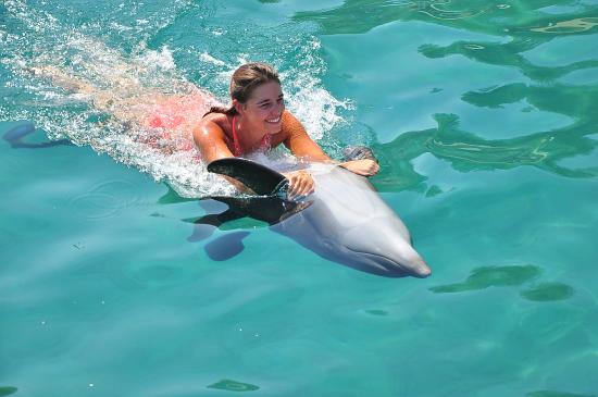 Swimming with Dophins in Bodrum Dolphin Park