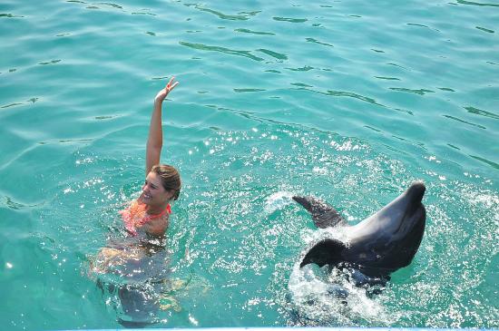 Bodrum Dophin Park Excursion