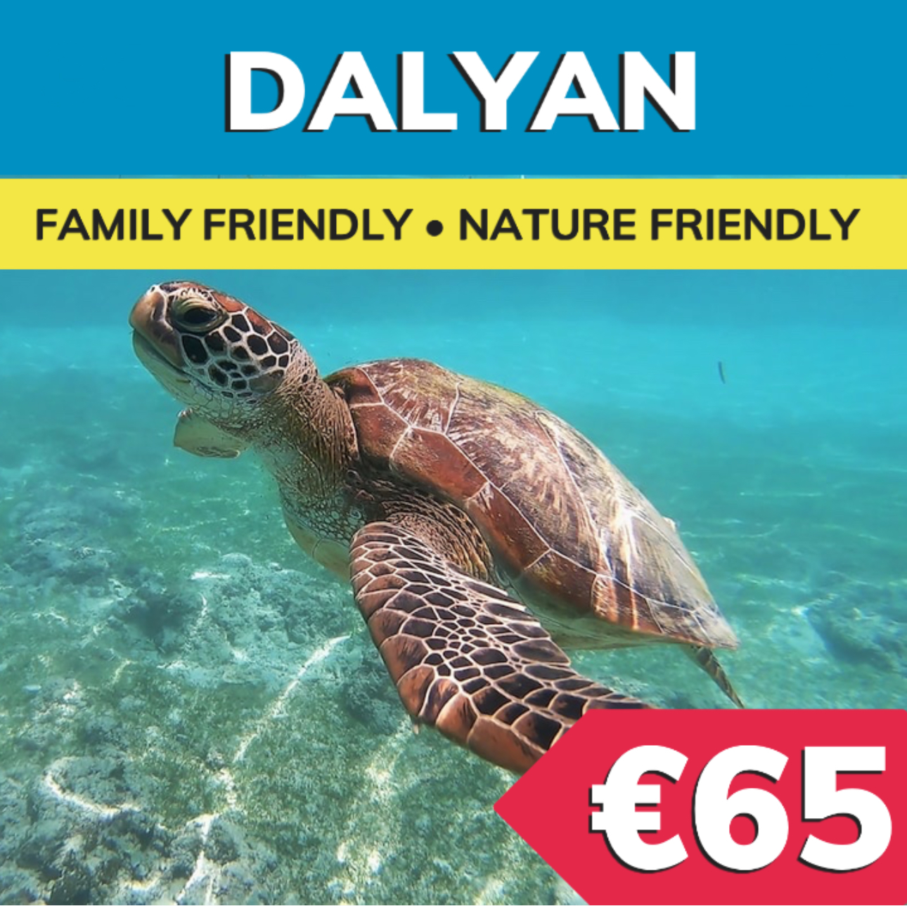 Bodrum Dalyan Tour