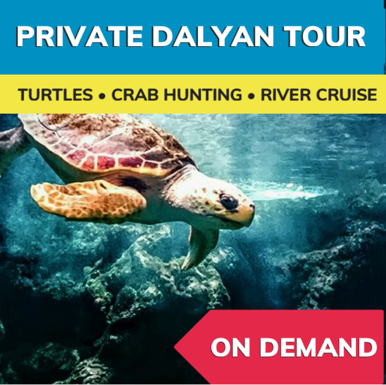 Private Dalyan Tour from Bodrum Private Dalyan Tour from Bodrum