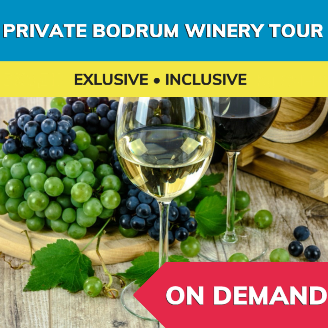 Private Bodrum Winery Tour Private Bodrum Winery Tour