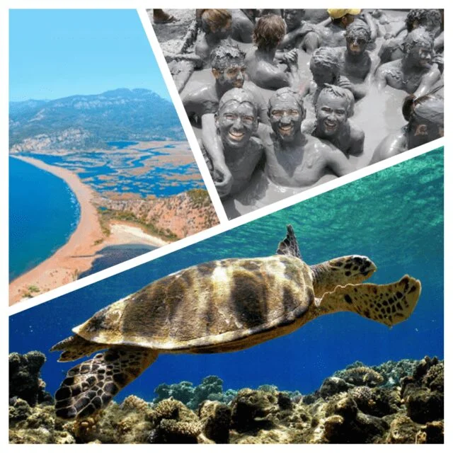 Экскурсия в Дальян из Бодрума Экскурсия в Дальян из Бодрума 2021