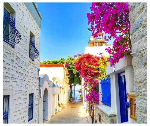 Обзорная экскурсия по Бодруму