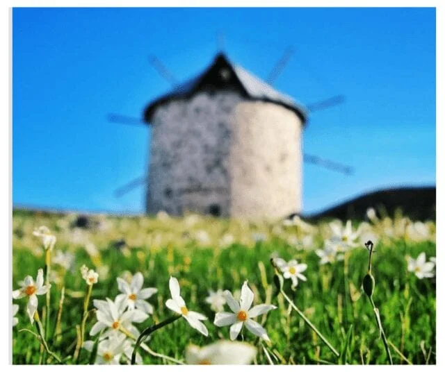 Обзорная экскурсия по Бодруму