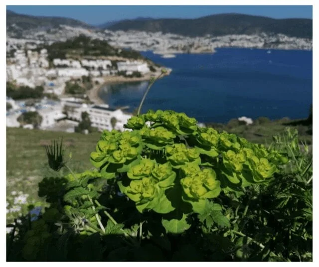 Обзорная экскурсия по Бодруму