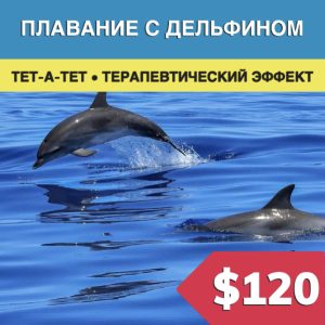 Плавание с дельфинами в Бодруме - Экскурсии в Бодруме
