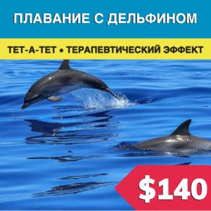 Плавание с дельфинами в Бодруме - Экскурсии в Бодруме