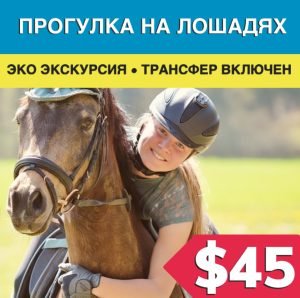 Конная прогулка в Бодруме