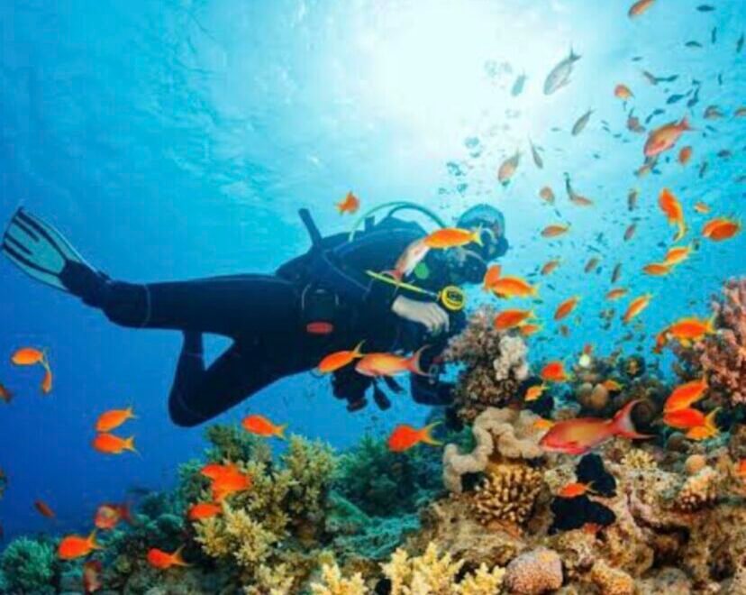 Дайвинг в Бодруме - Экскурсии в Бодруме