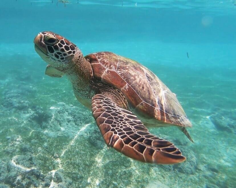 Экскурсия в Дальян из Бодрума - Экскурсии в Бодруме