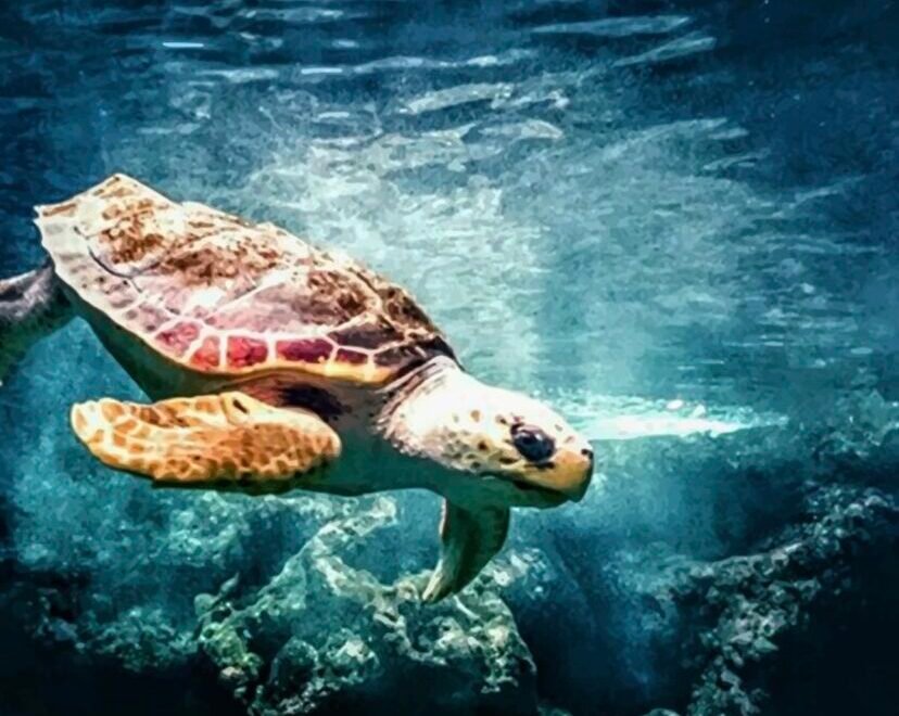 Индивидуальная экскурсия в Дальян из Бодрума