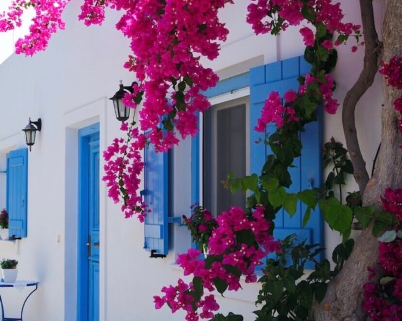 Индивидуальная экскурсия на греческий остров Кос из Бодрума - Экскурсии в Бодруме