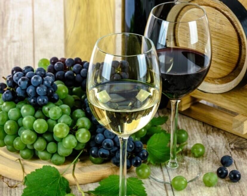 Винодельни Бодрума - Экскурсии в Бодруме