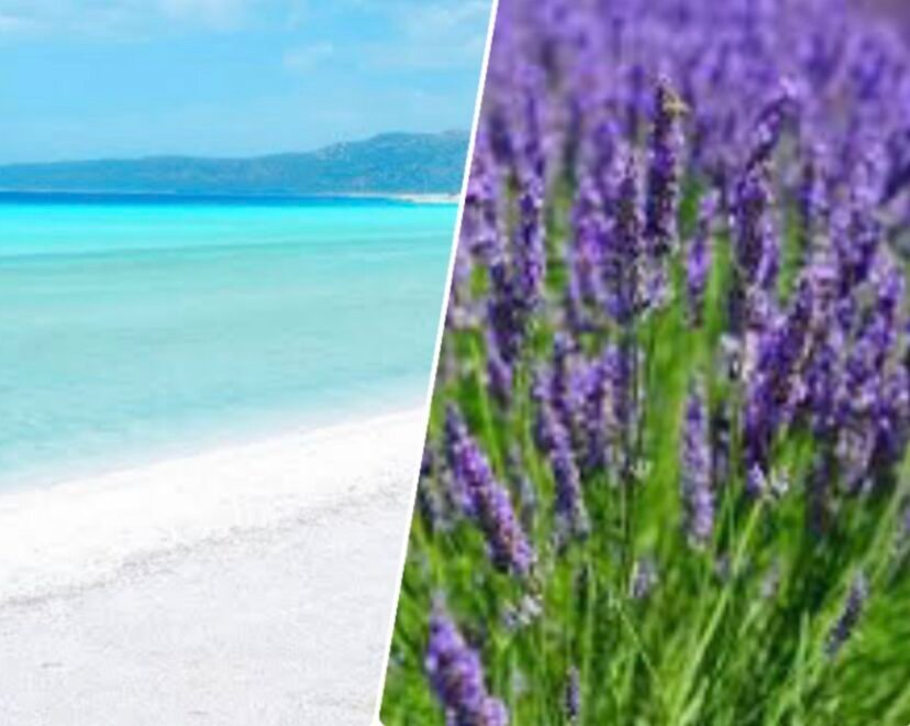 экскурсия на о.Сальда и лавандовые поля из Бодрума